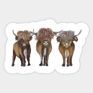 Scottish Highland cattle Sticker